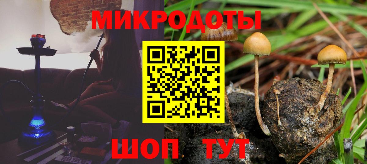 Галлюциногенные грибы Psilocybine cubensis Павлово